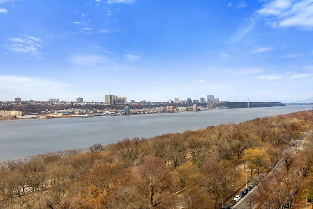 water view featuring a view of skyline and a notable bridge