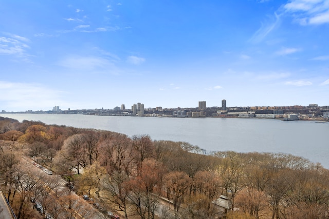 water view featuring a view of skyline