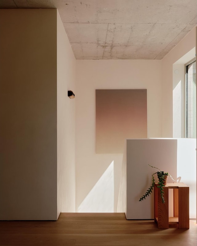 hall with wood finished floors