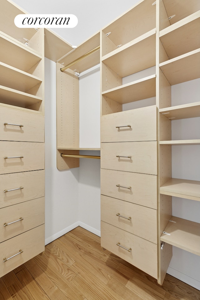 spacious closet featuring light wood-style floors