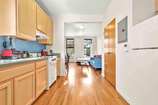 7 2nd Ave Unit 2-B, New York City, NY 10003 - kitchen featuring light brown cabinetry, white appliances, under cabinet range hood, and light wood-style floors