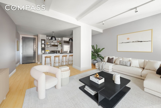 110 Livingston St Unit 7P, New York City, NY 11201 - living area featuring track lighting, light wood-style flooring, and baseboards
