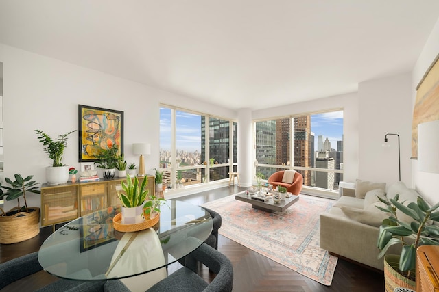 living area featuring a view of city