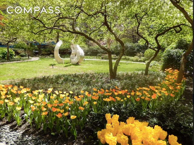 surrounding community with a yard