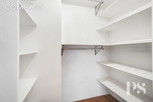 walk in closet with dark wood-style floors