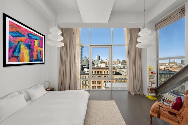 bedroom featuring a skyline view and wood finished floors