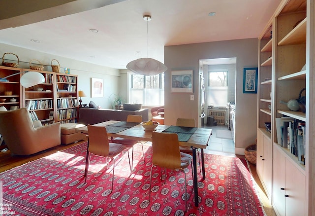 2244 Bronx Park E Unit 1B, New York City, NY 10467 - dining area featuring radiator