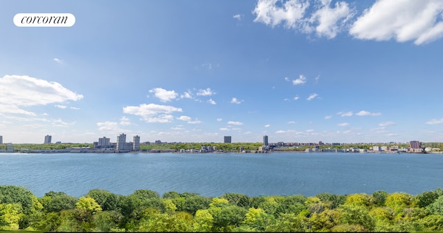 140 Riverside Dr Unit 11A, New York City, NY 10024 - water view featuring skyline