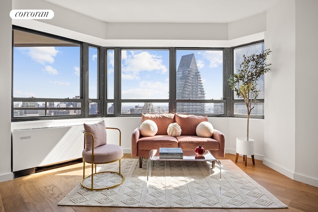 living area featuring baseboards, wood finished floors, and a city view