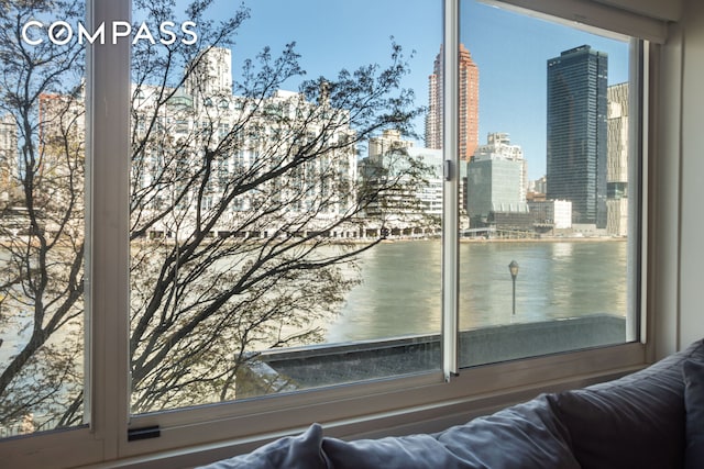 551 Main St Unit 208, New York City, NY 10044 - water view with nearby urban area