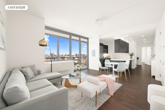 living room featuring a view of skyline, dark wood-style flooring, baseboards, and recessed lighting