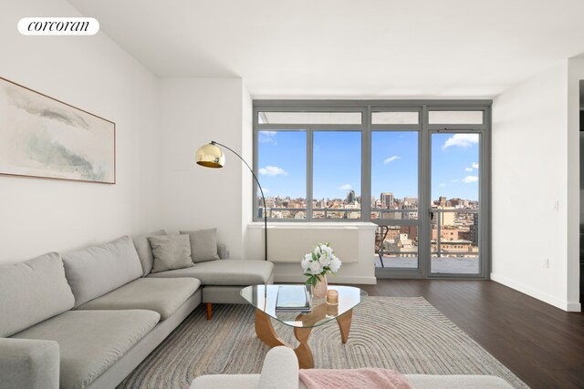 321 W 110th St Unit 12B, New York City, NY 10026 - living room featuring dark wood-style floors, baseboards, and a view of city