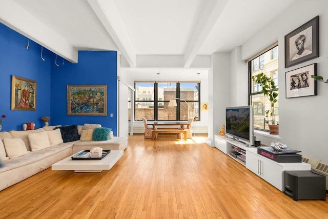 1 Main St Unit 7H, New York City, NY 11201 - living room with beam ceiling, a wealth of natural light, and light wood-style floors