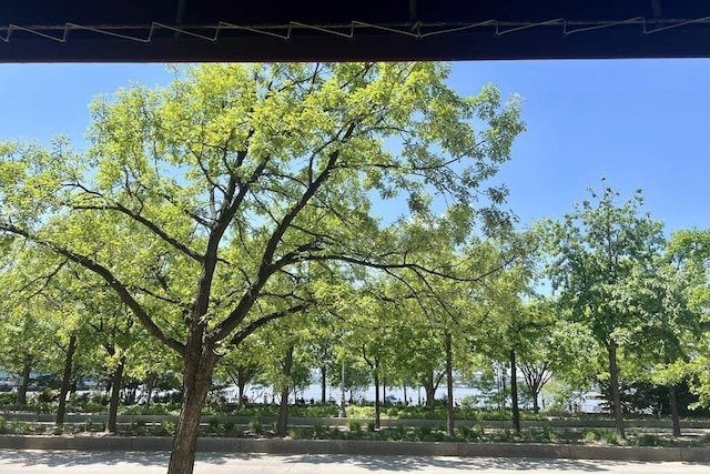 379 W St Unit 2B, New York City, NY 10014 - view of home's community