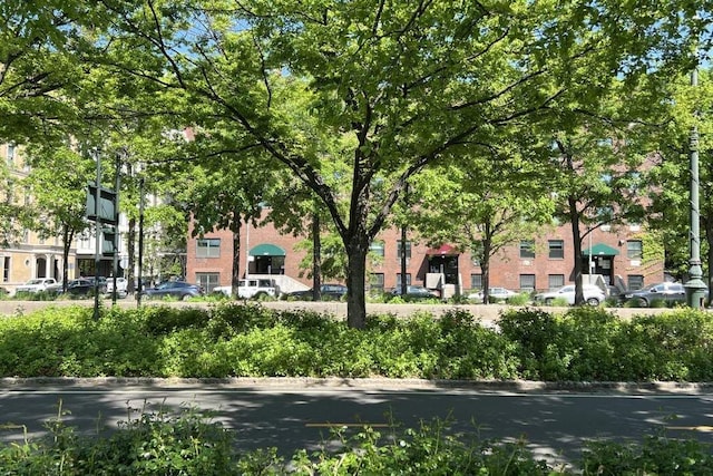 379 W St Unit 2B, New York City, NY 10014 - view of community
