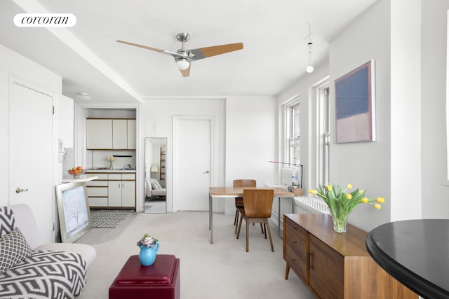 310 Riverside Dr Unit 2009, New York City, NY 10025 - living area featuring a ceiling fan and light carpet
