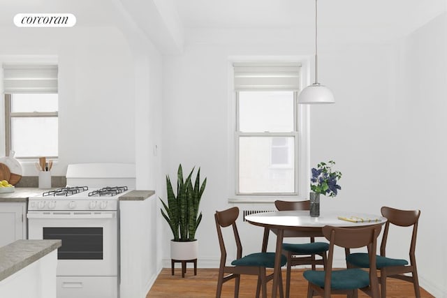 414 Albemarle Rd Unit 1D, New York City, NY 11218 - kitchen featuring white gas range, plenty of natural light, light wood-style flooring, and light countertops