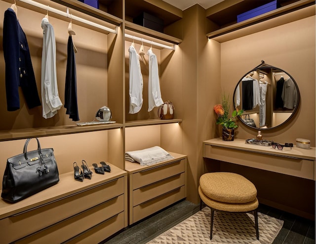 view of walk in closet