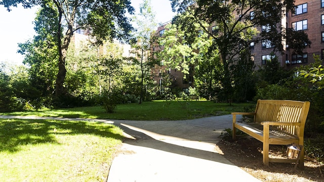 view of home's community with a lawn