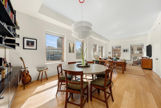 165 Hudson St Pha, Pha, New York City, NY 10013 - dining room featuring light wood-type flooring
