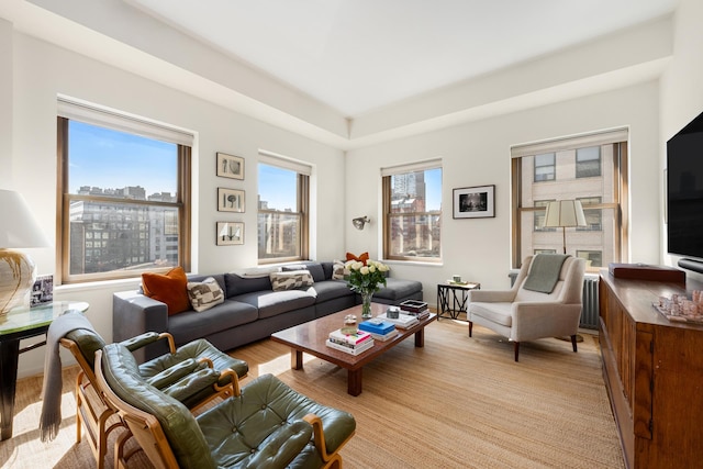165 Hudson St Pha, Pha, New York City, NY 10013 - living room with light wood-style flooring and a raised ceiling