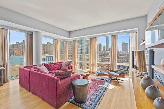 80 Riverside Blvd Unit 16-P, New York City, NY 10069 - living room featuring a view of skyline and wood-type flooring