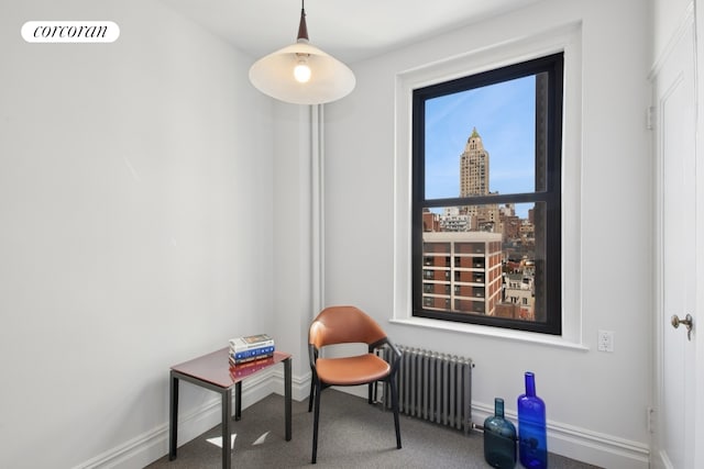 living area featuring baseboards, a city view, radiator heating unit, and visible vents