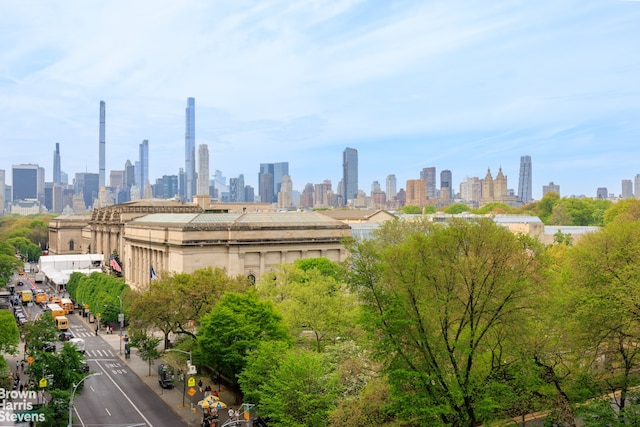 1045 5th Ave Unit 9B, New York City, NY 10028 - skyline view