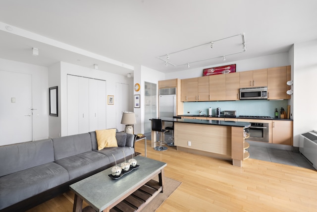 325 5th Ave Unit 34D, New York City, NY 10016 - living area with light wood-type flooring
