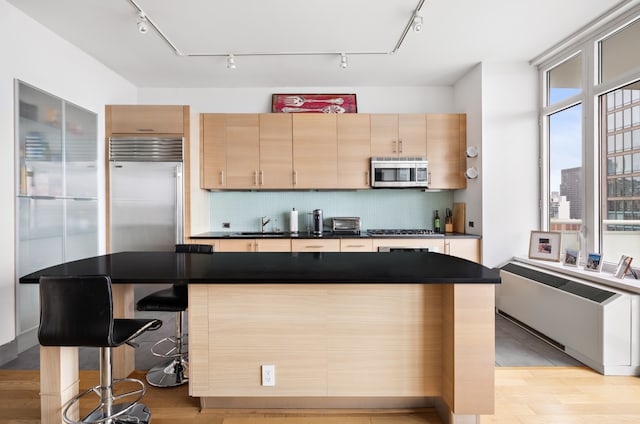 kitchen with stainless steel microwave, radiator, track lighting, dark countertops, and a sink