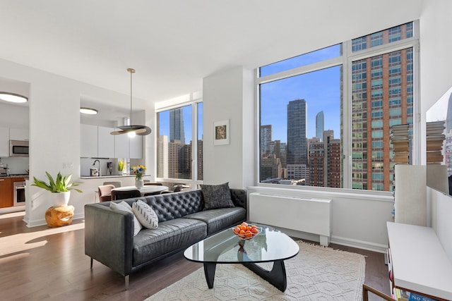 living area with a skyline view, wood finished floors, and healthy amount of natural light