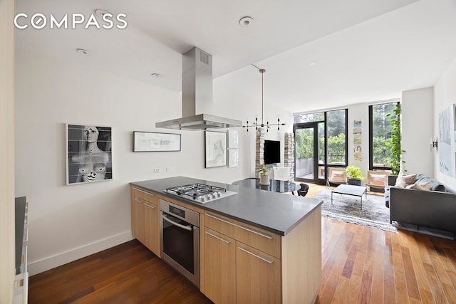 kitchen featuring appliances with stainless steel finishes, exhaust hood, a peninsula, open floor plan, and dark wood-type flooring