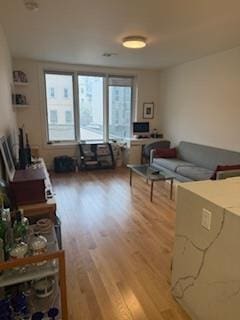 living area featuring light wood-style floors