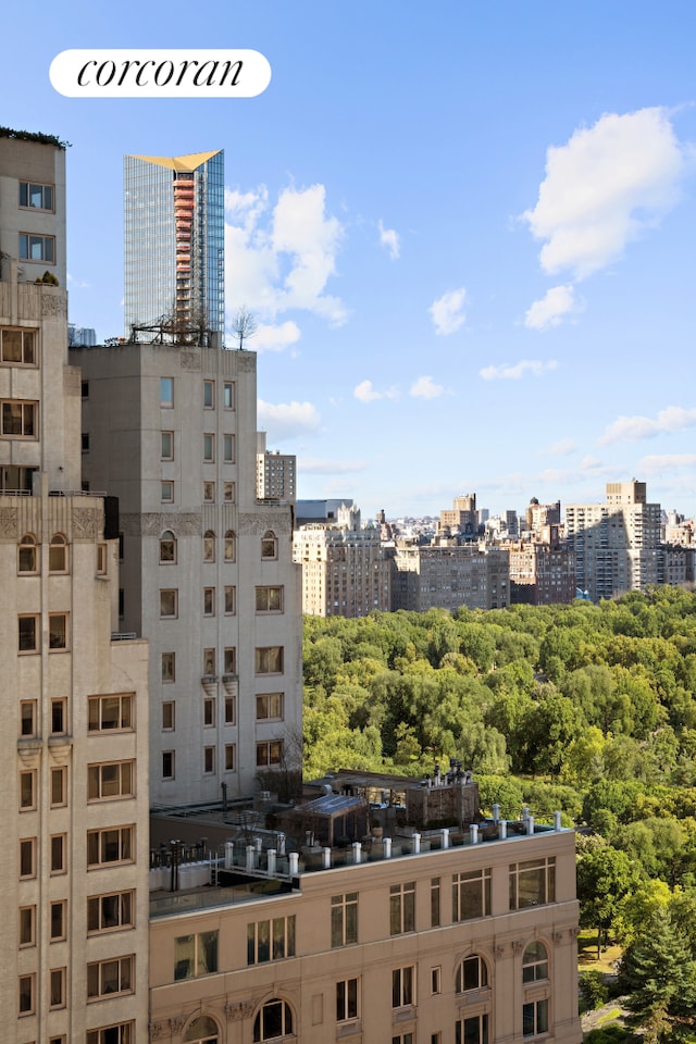 58 W 58th St Unit 24B, New York City, NY 10019 - property's view of city