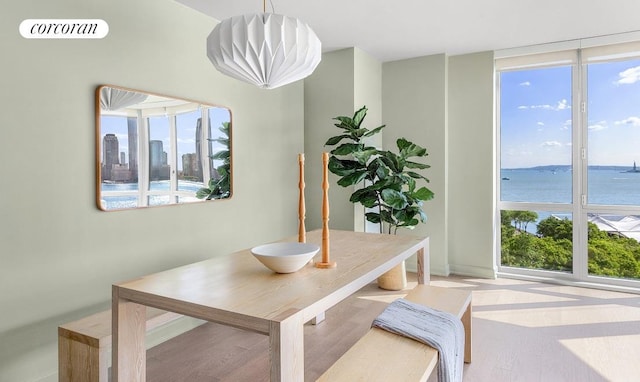 20 River Ter Unit 9M, New York City, NY 10282 - dining room with visible vents, a wealth of natural light, and baseboards