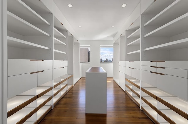 205 W 19th St Unit 11, New York City, NY 10011 - walk in closet with dark wood-style floors