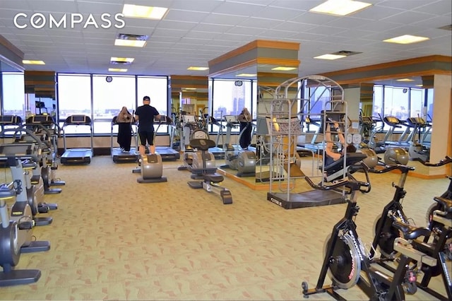 exercise room featuring plenty of natural light, a drop ceiling, and carpet flooring