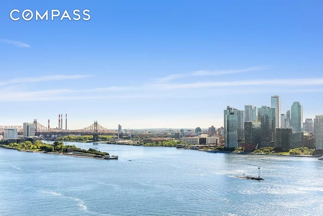 water view with a view of skyline and a notable bridge