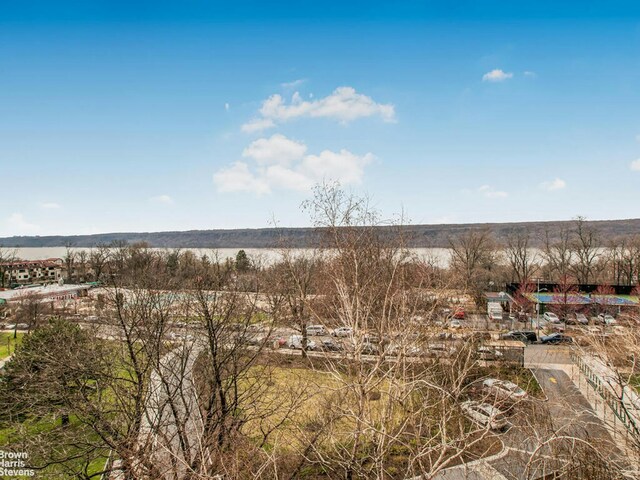 5800 Arlington Ave Unit 7L, New York City, NY 10471 - view of local wilderness