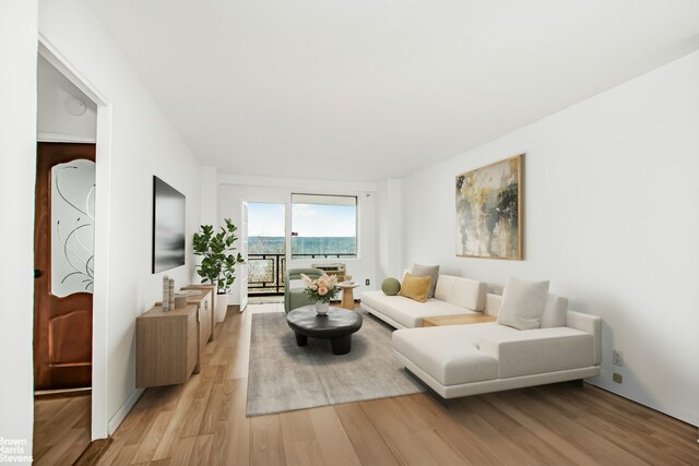 5800 Arlington Ave Unit 7L, New York City, NY 10471 - living room with light wood-style floors