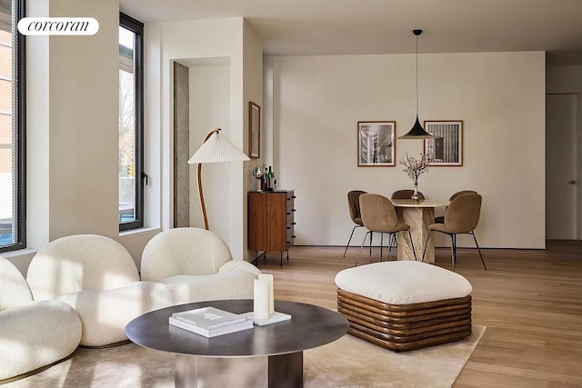 9 Chapel St Unit 5C, New York City, NY 11201 - living area with wood finished floors
