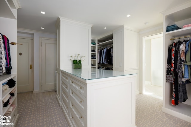 view of spacious closet