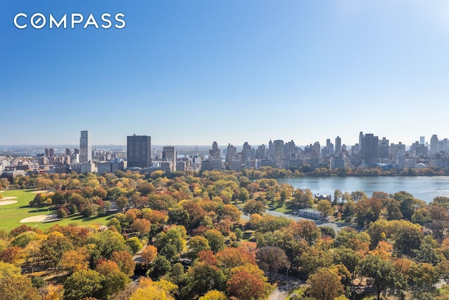 15 W 96th St Unit 18, New York City, NY 10025 - bird's eye view of skyline and a nearby body of water