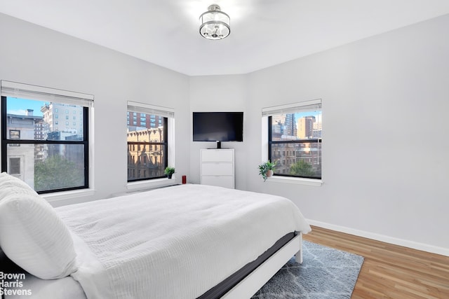 bedroom featuring wood finished floors, multiple windows, and baseboards
