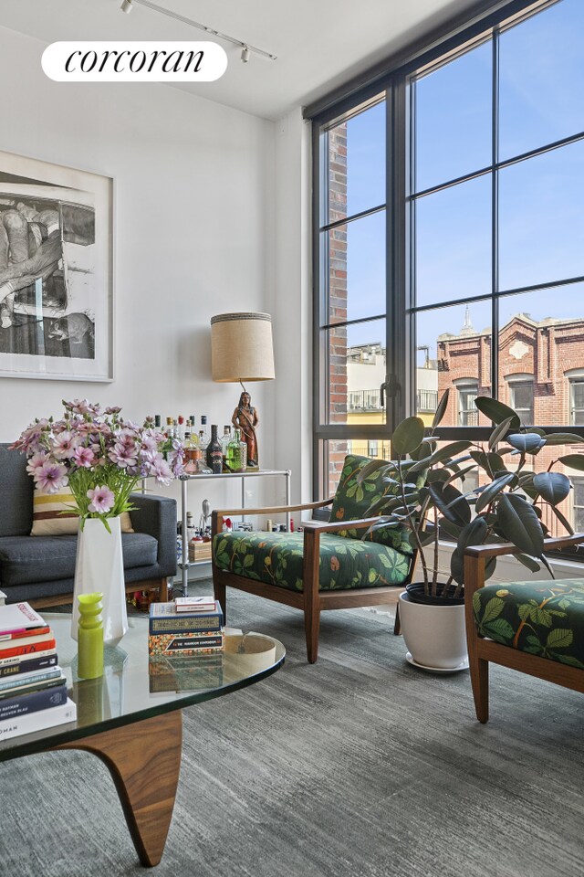 438 E 12th St Unit 6C, New York City, NY 10009 - living area featuring healthy amount of natural light, expansive windows, and track lighting
