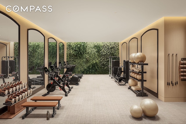 exercise room with carpet