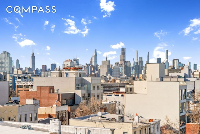 131 Jackson St Phb, Phb, New York City, NY 11211 - city view