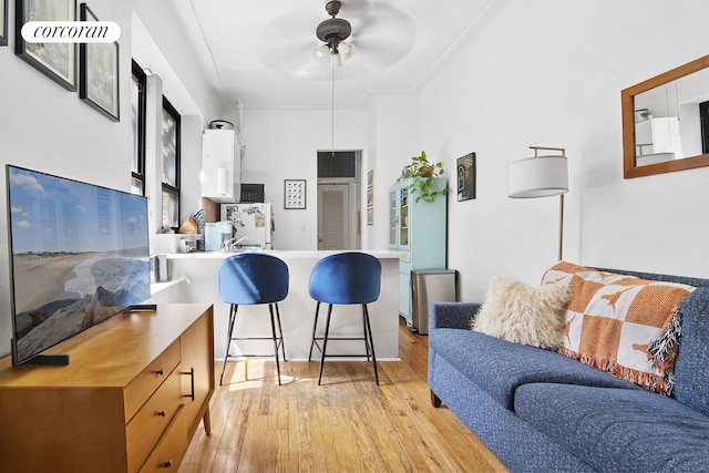55 Hicks St Unit 3, New York City, NY 11201 - living area featuring light wood finished floors and a ceiling fan
