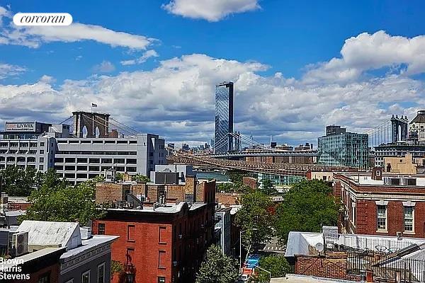 55 Hicks St Unit 3, New York City, NY 11201 - city view