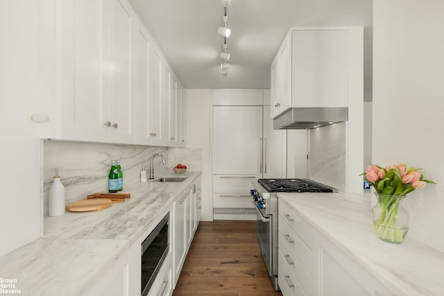 kitchen featuring ventilation hood, white cabinetry, stainless steel appliances, and a sink